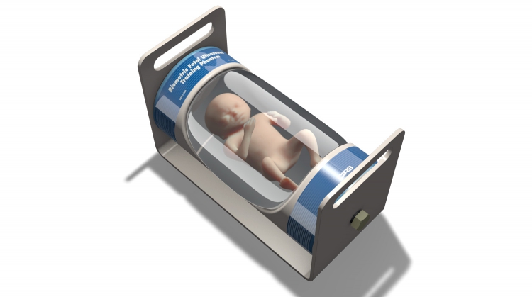 CIRS068胎兒超聲模體,068胎兒超聲生物測量體模